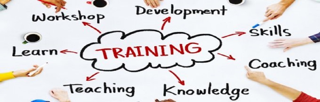 Training and Development Programs for Pharma Companies 